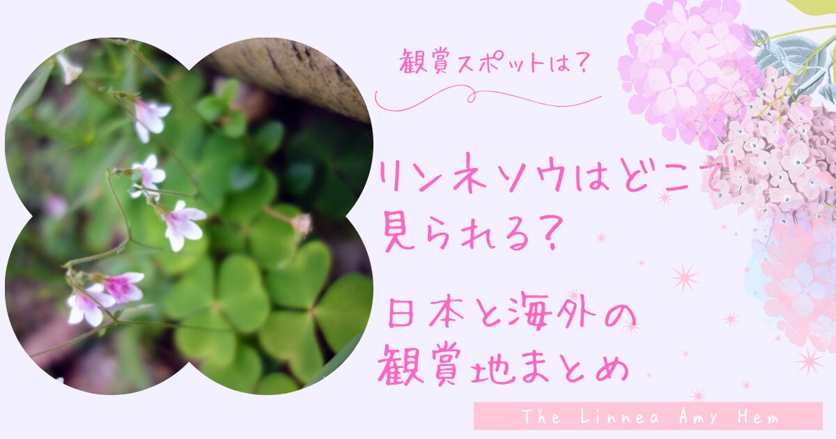 リンネソウはどこで見られる？日本から海外まで観賞スポットと見頃を紹介！